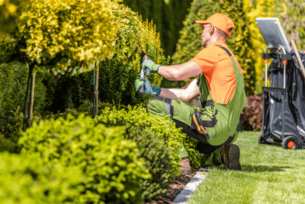 Çevre Düzenleme İşi 